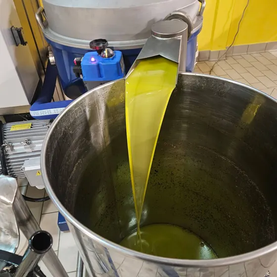 Olio extravergine appena estratto al frantoio