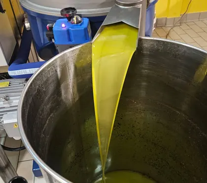 Olio extravergine appena estratto al frantoio
